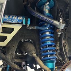 King Shocks With Total Chaos Uppers