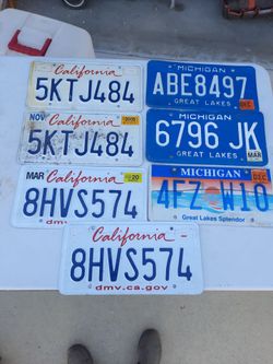 7 License Plates