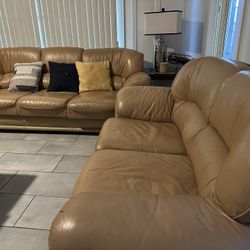 Set of Leather Couches