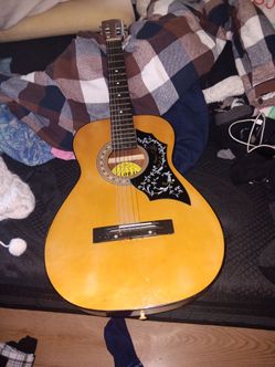 Humming bird global guitar