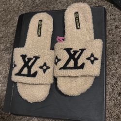 Louis Vuitton Shoes