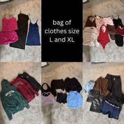 Plus size women’s clothing (L and XL)