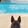 Roxanna