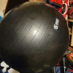 Yoga Ball $6