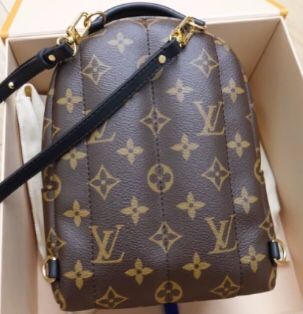 Louis Vuitton backpack...