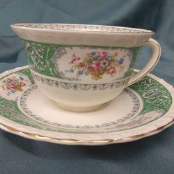 Myott Staffordshire Winchester Tea Cup & Saucer