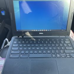 Dell Computer