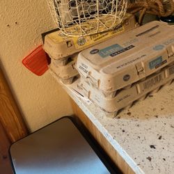 Farm Fresh Eggs