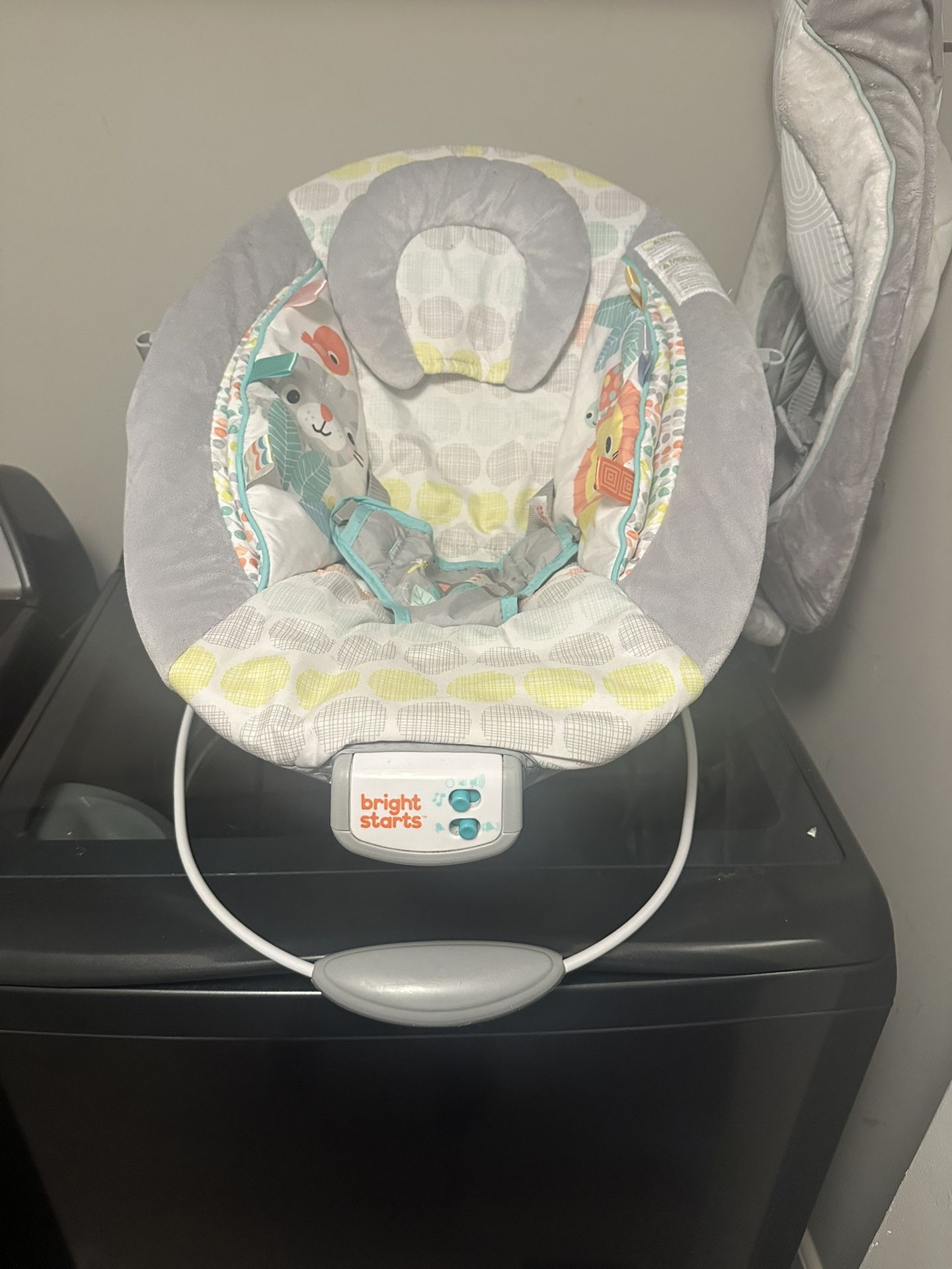 Baby Bouncer