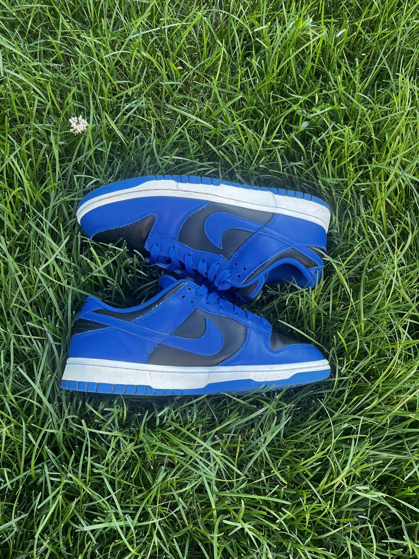 Nike Dunk Low Hyper Cobalt Size 10 No Box