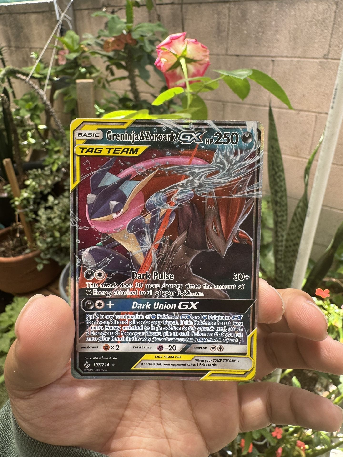 Pokemon Singles - Greninja & Zoroark GX Tag Team
