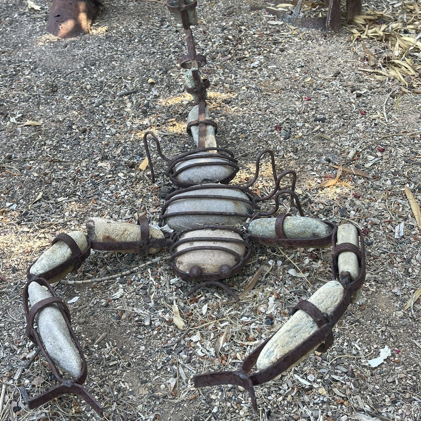 River Rock Scorpion 