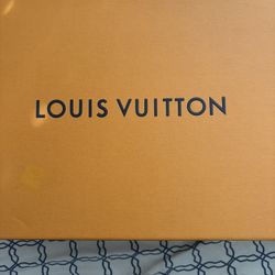 Louis Vuitton Skate Shoes