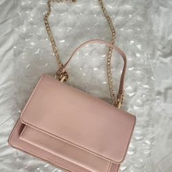 Pink Purse 