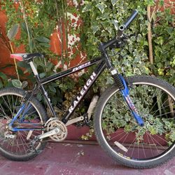 Raleigh Mountain Bike