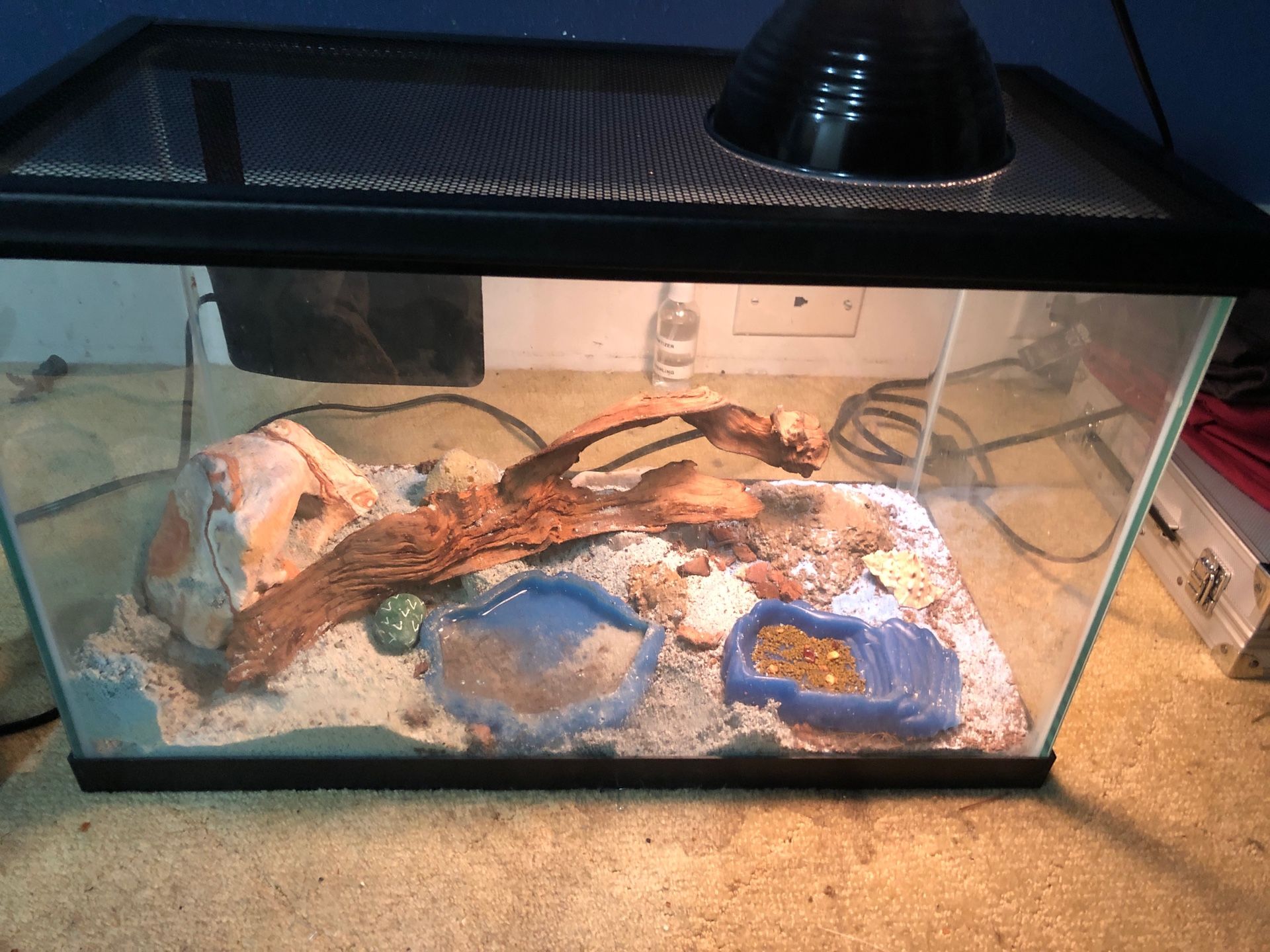 Hermit crab/cage/supplies