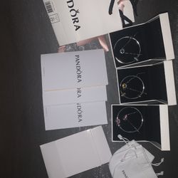 Pandora Bracket And Necklace 