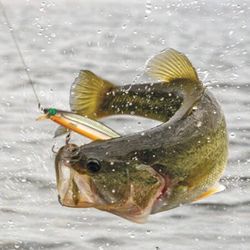 FISHING TACKLE ACCESSORIES LURES VINTAGE 