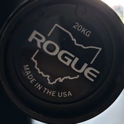 Rogue Ohio bar