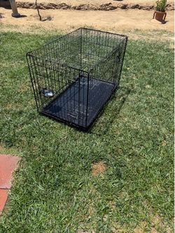 Dog Crate