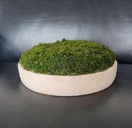 Threshold Large Faux Moss Bowl