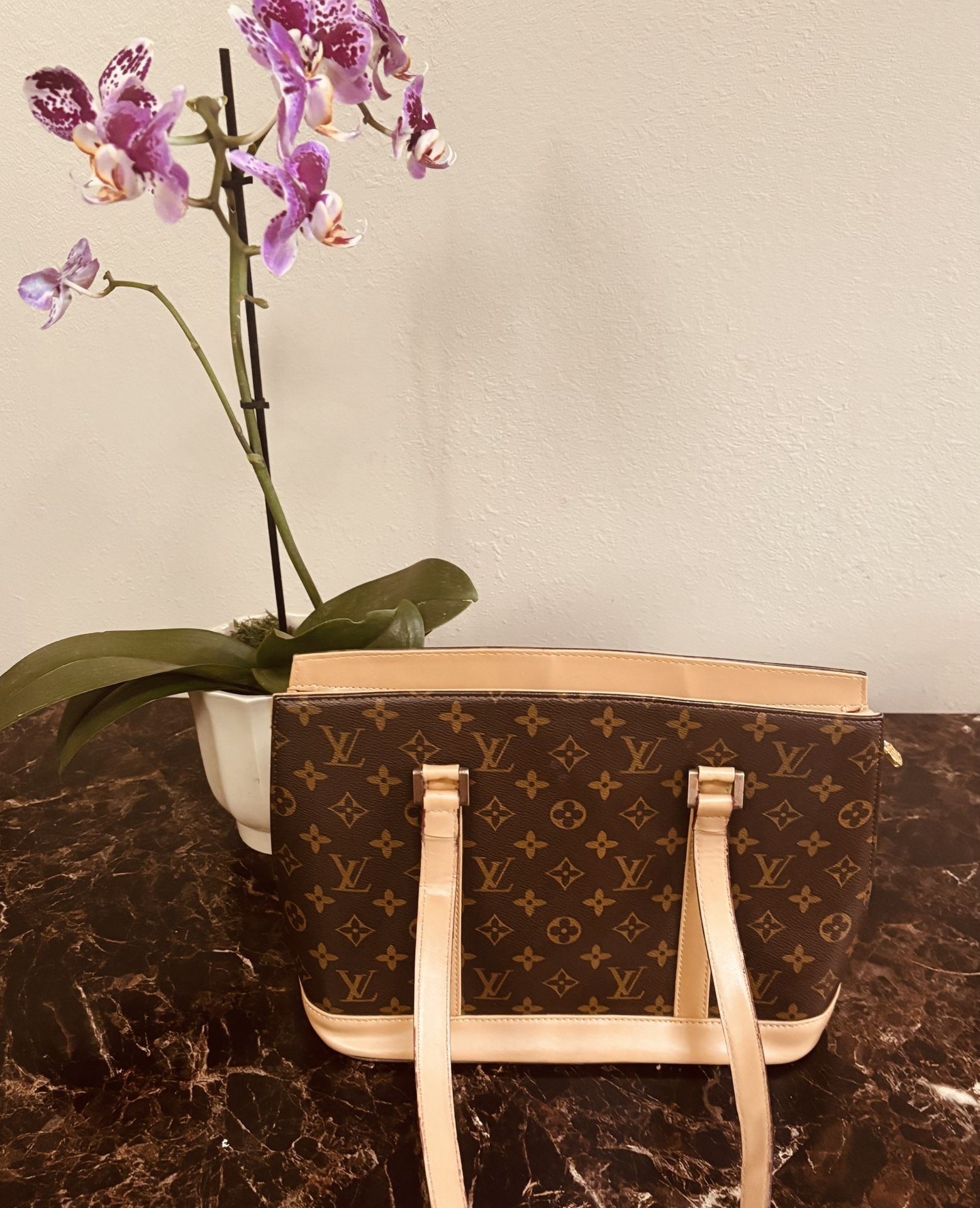 Louis Vuitton purse