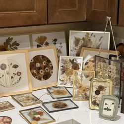 Pressed flowers in frame