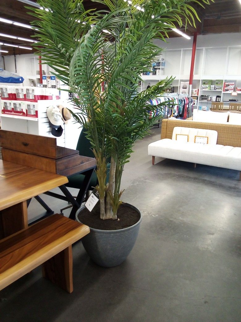 Faux 8' Areca Palm