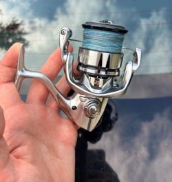 Shimano Spinning Fishing Reel 5000XG
