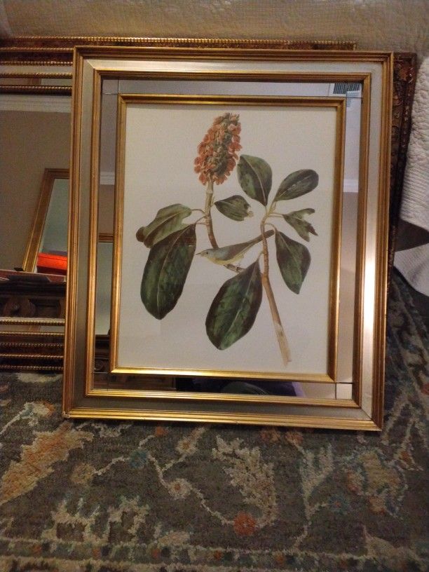 Magnolia Leaf Picture 
