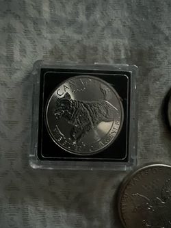 1oz silver coin