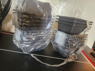 Plant Starters