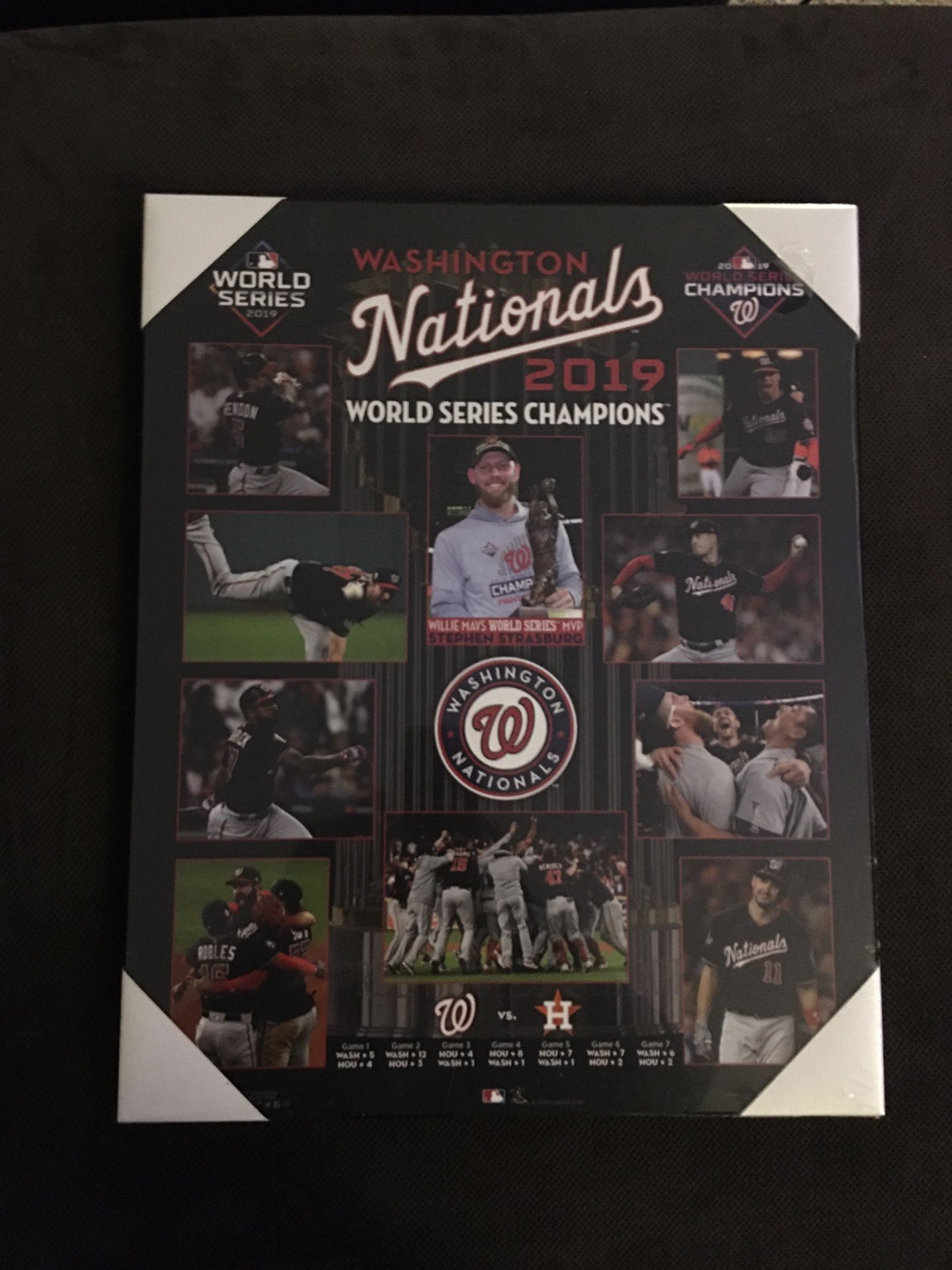 Washington Nationals / 2019 World Series Champions