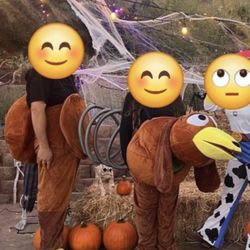 Slinky Dog Costume (Toy Story) – Adult / Kids – Lightly Used