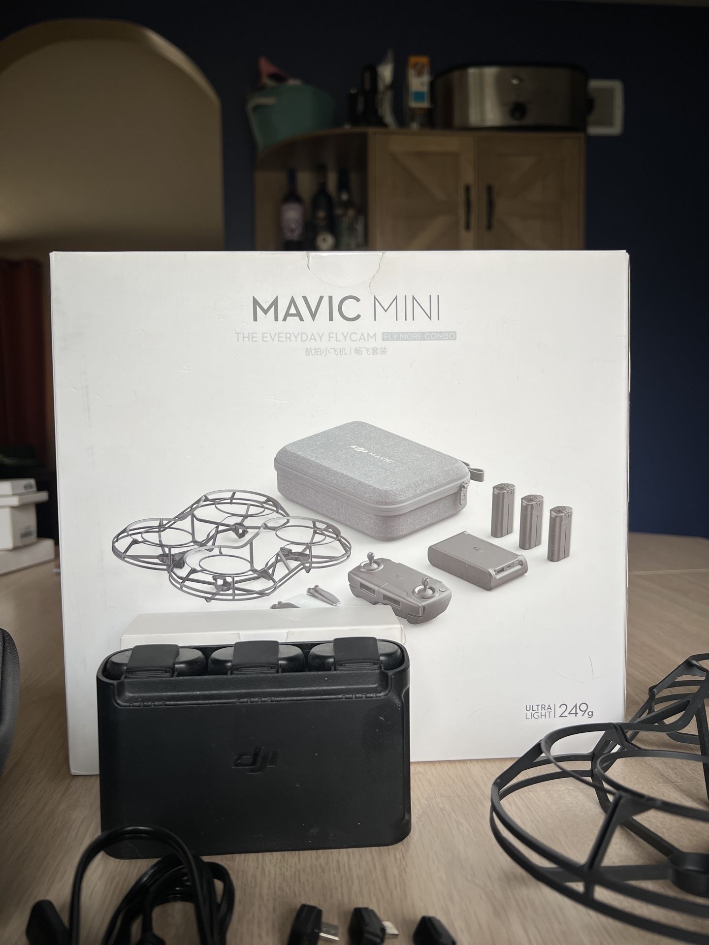 DJI Mavic Mini; The Everyday Flycam; Fly More Combo