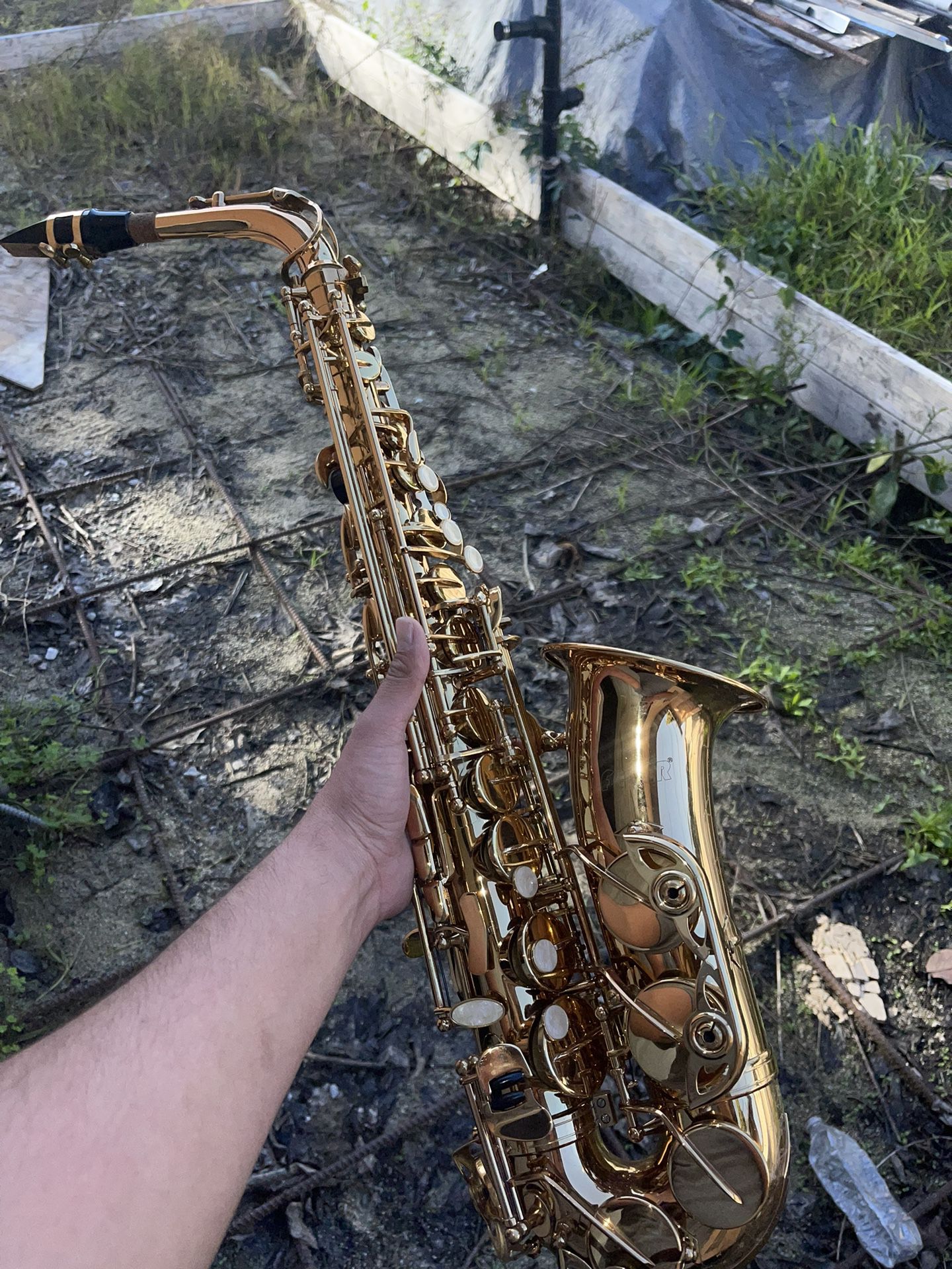 Fever Saxophone 