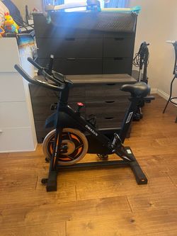 DMASUN Indoor Cycling Spin Bike