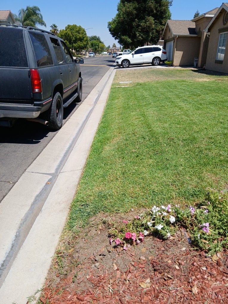 Lawn N Sprinkler