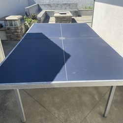 Ping Pong Table