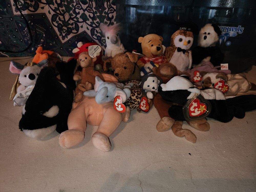 Beanie Baby Collection