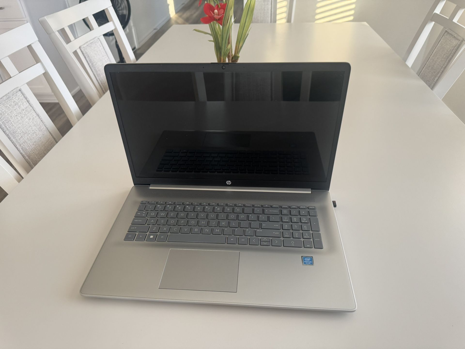 Computer Laptop   HP  Windows 11