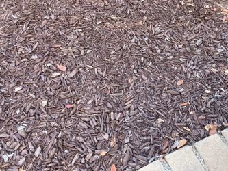 8x free trash bags full of used brown Mulch/ Pick Up Today In Lakeside