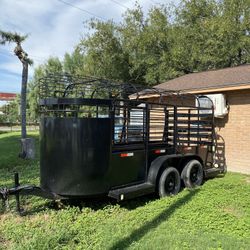 Cattle Trailer 