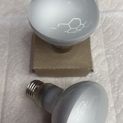 Repot King 100 Watt Heating Bulbs 2 Pack 