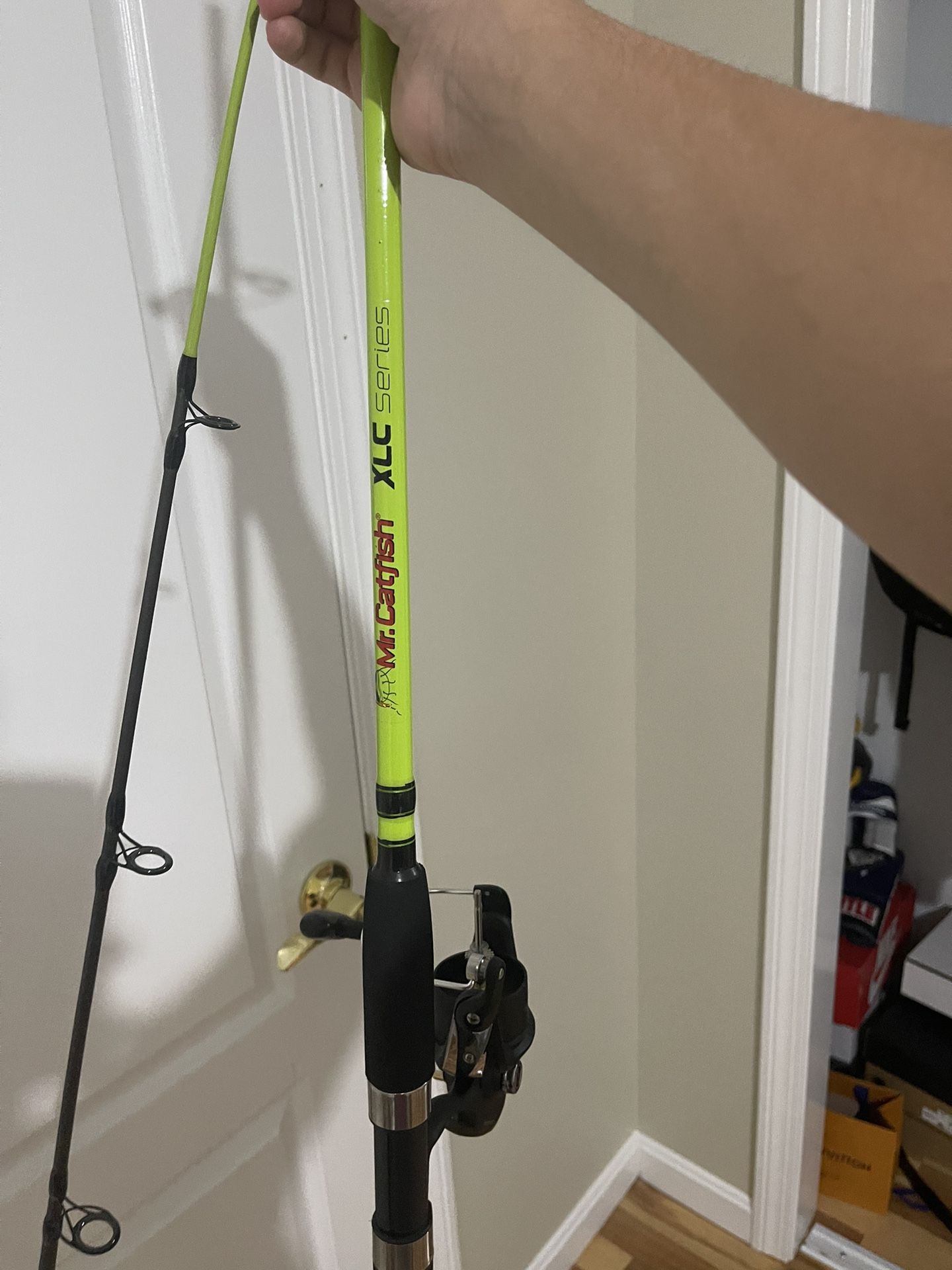 Fishing rod