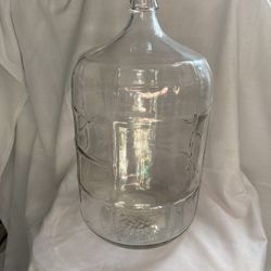 Water Jug - New