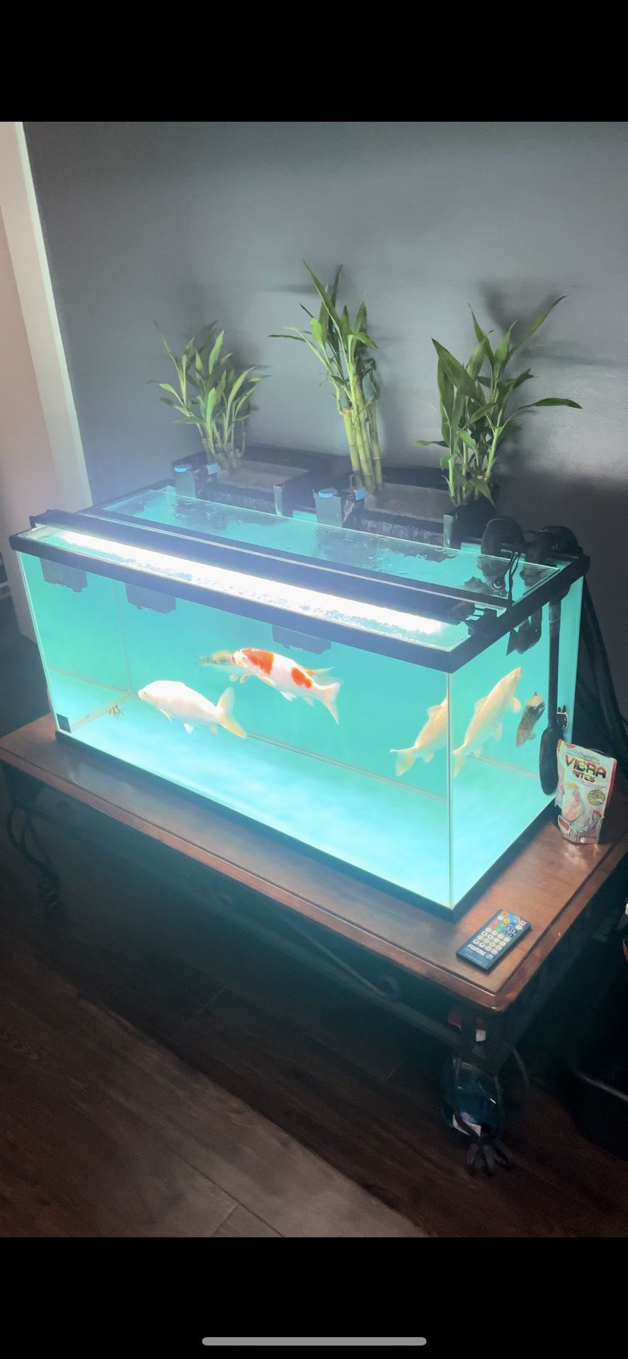 Fish Tank Items