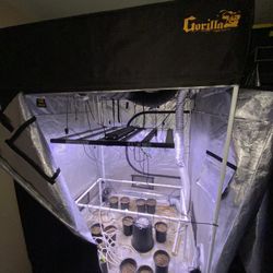 5x5 Grow Tent Gorilla Grow Ac Infinity Optic Led Grow Pots Mars Hydro 