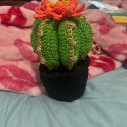 Handmade Crochet Cactus 