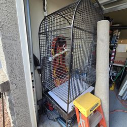 Free large bird cage